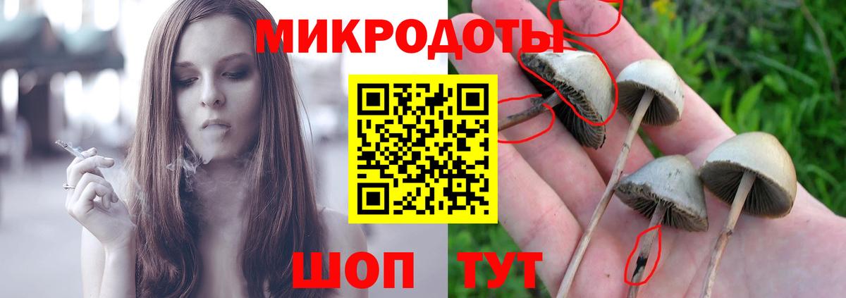 Балаково  Галлюциногенные грибы ЛСД  Вход с VPN 